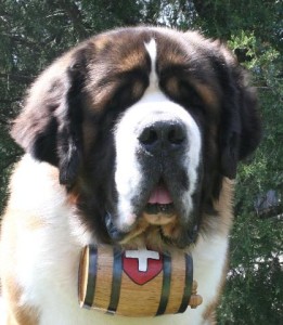 Do Your Children Think Beethoven is a Saint Bernard?